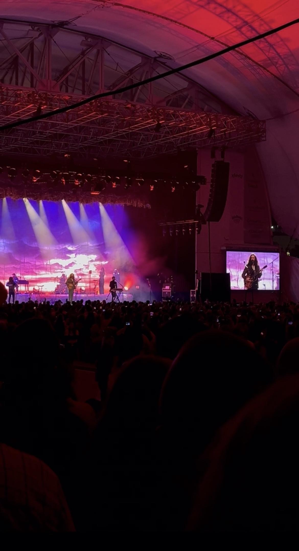 Hozier live performance